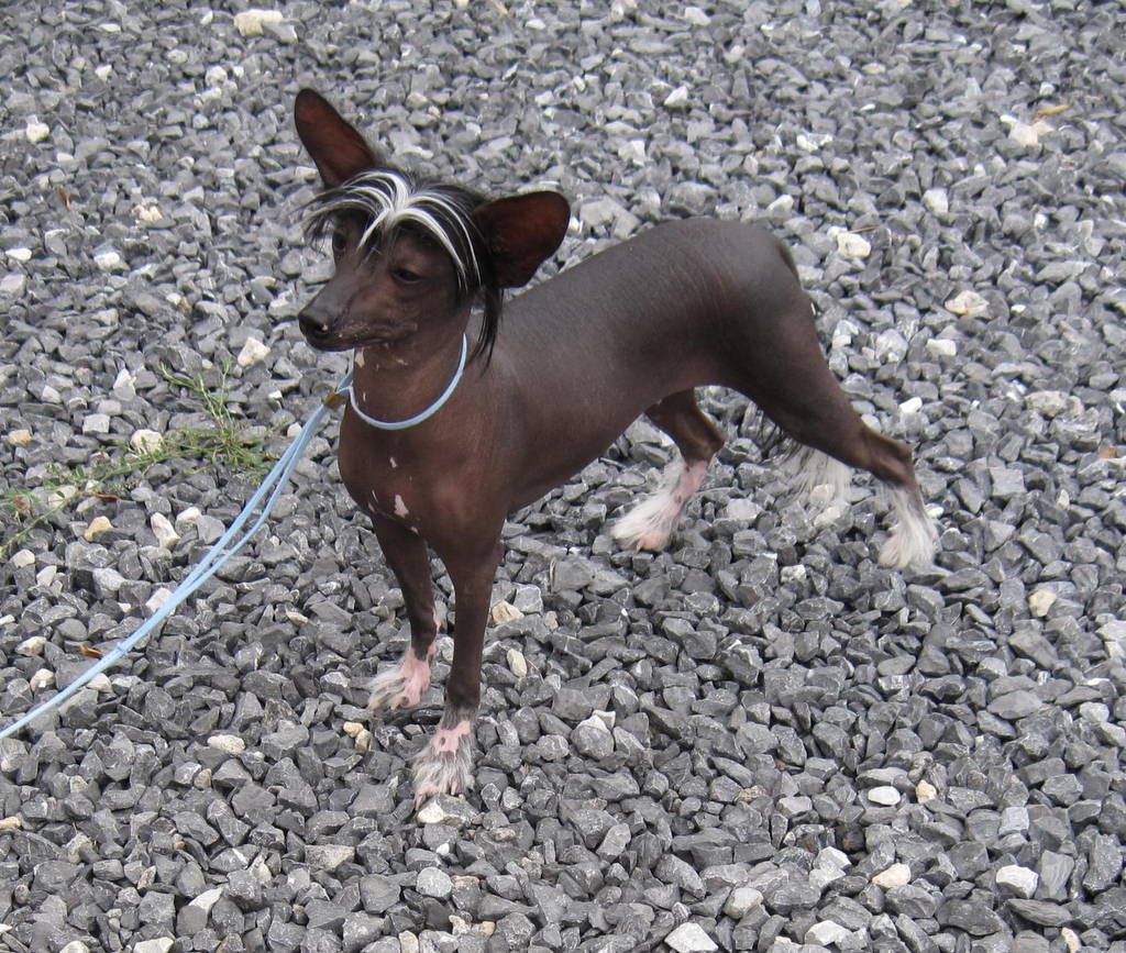 Mto N' Wickhaven I've Got A Crush On You