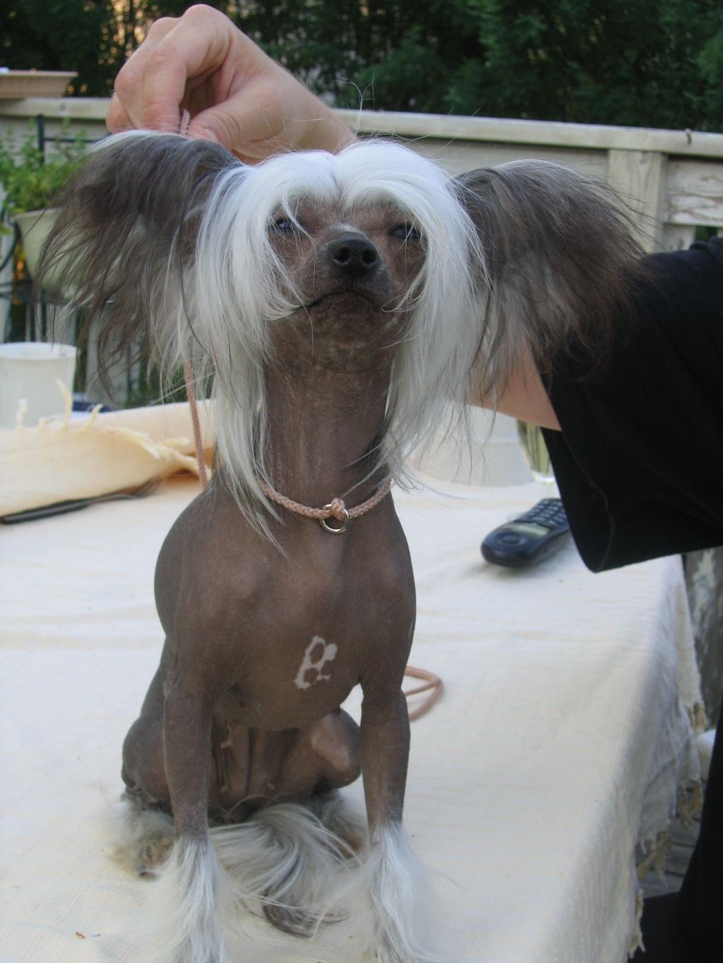 Flossan's Aktiva Sally