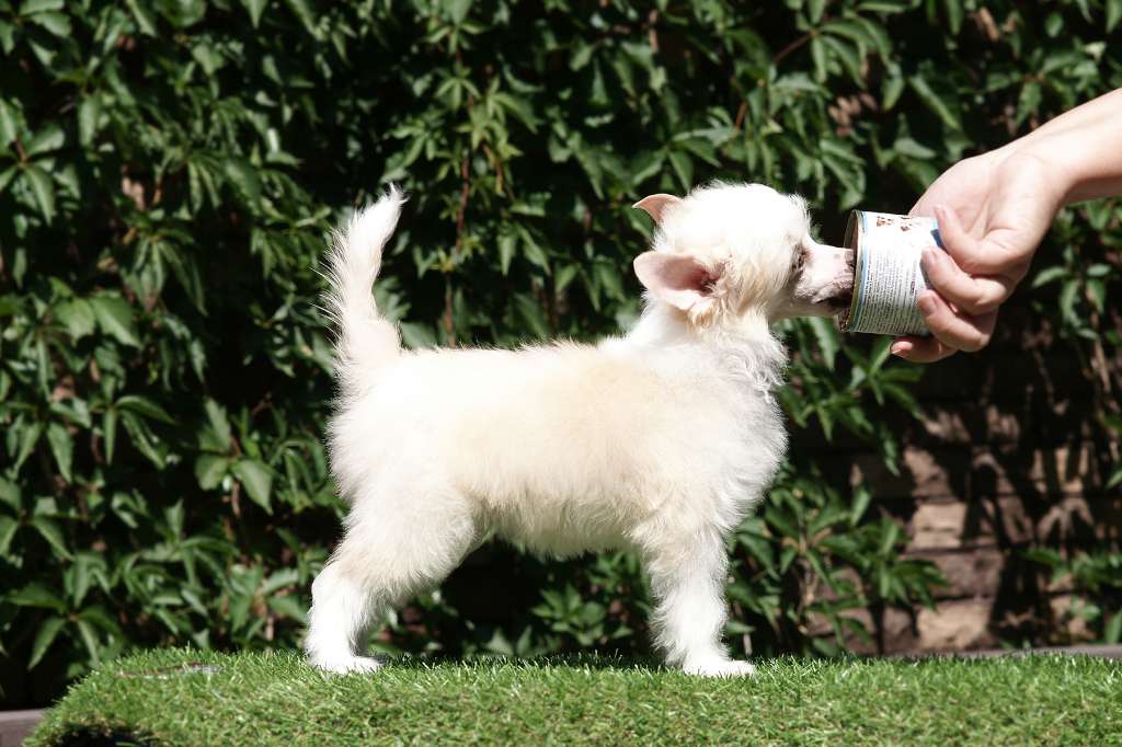 Incanto Del Mondo Nota Bene