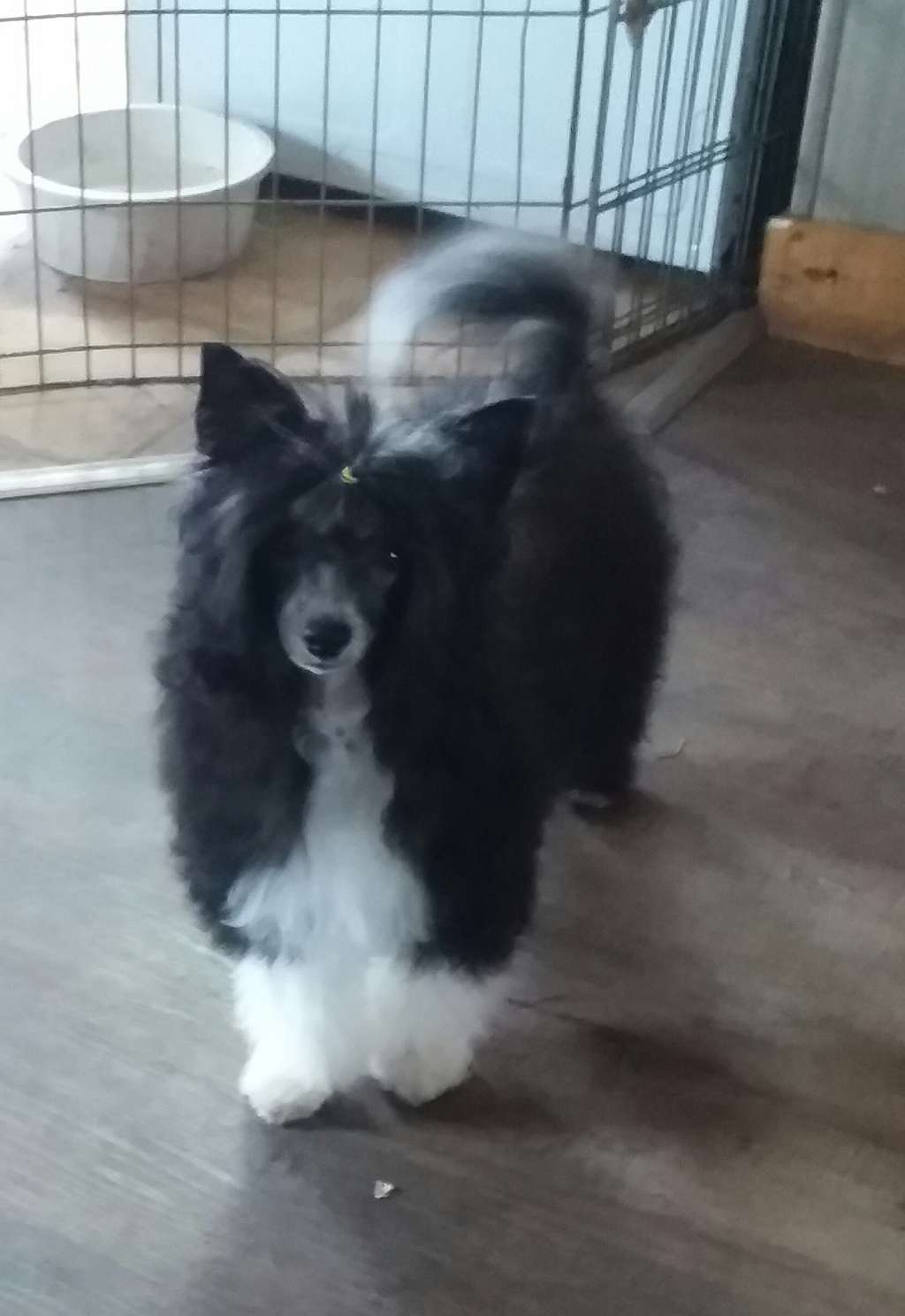 Outlaw's Lucky Last Draw