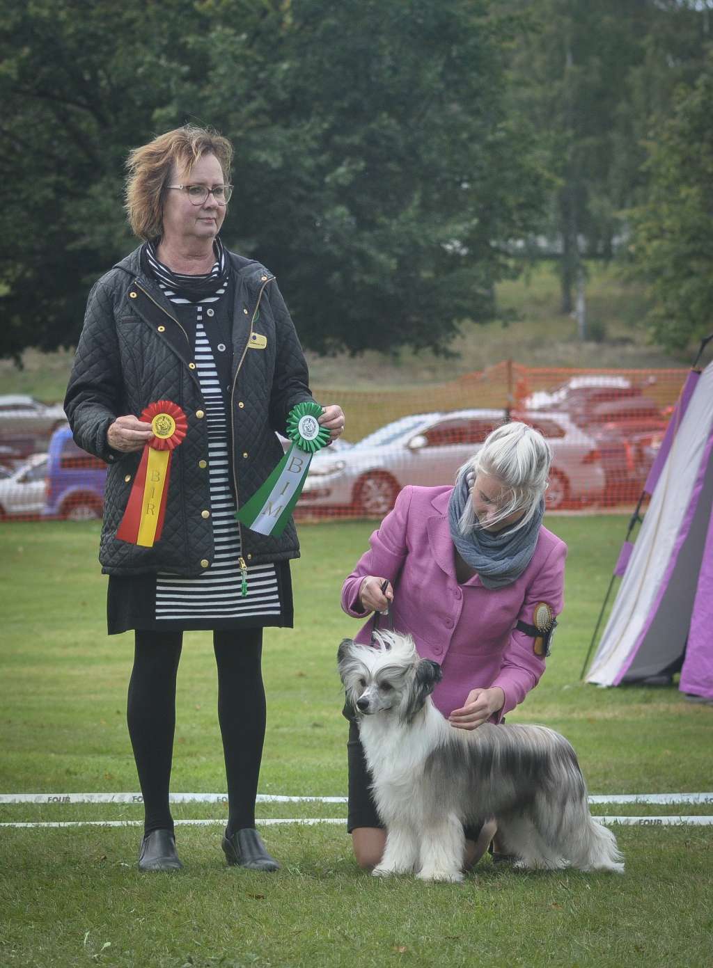 Prefix Pippi Longstocking