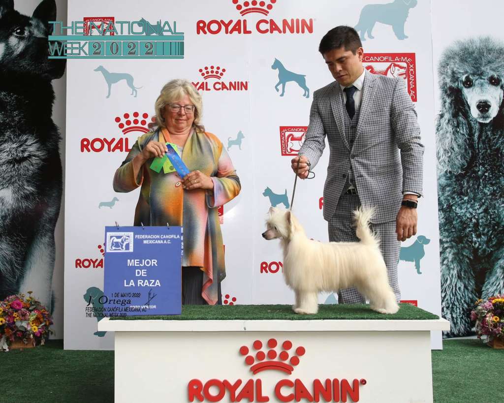 De Cabanelas Rosa Parks