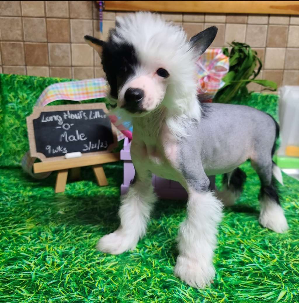 Long Haul's Sn'od-in & Hell's Froze Over