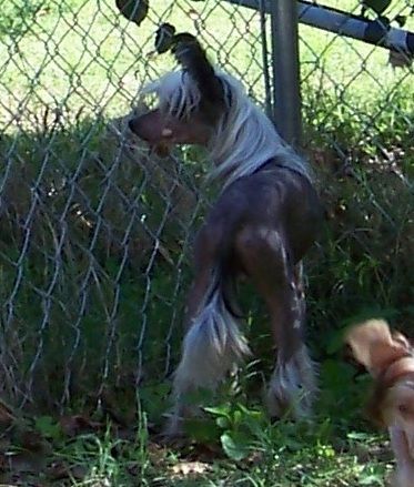 Spiritual In Black and White