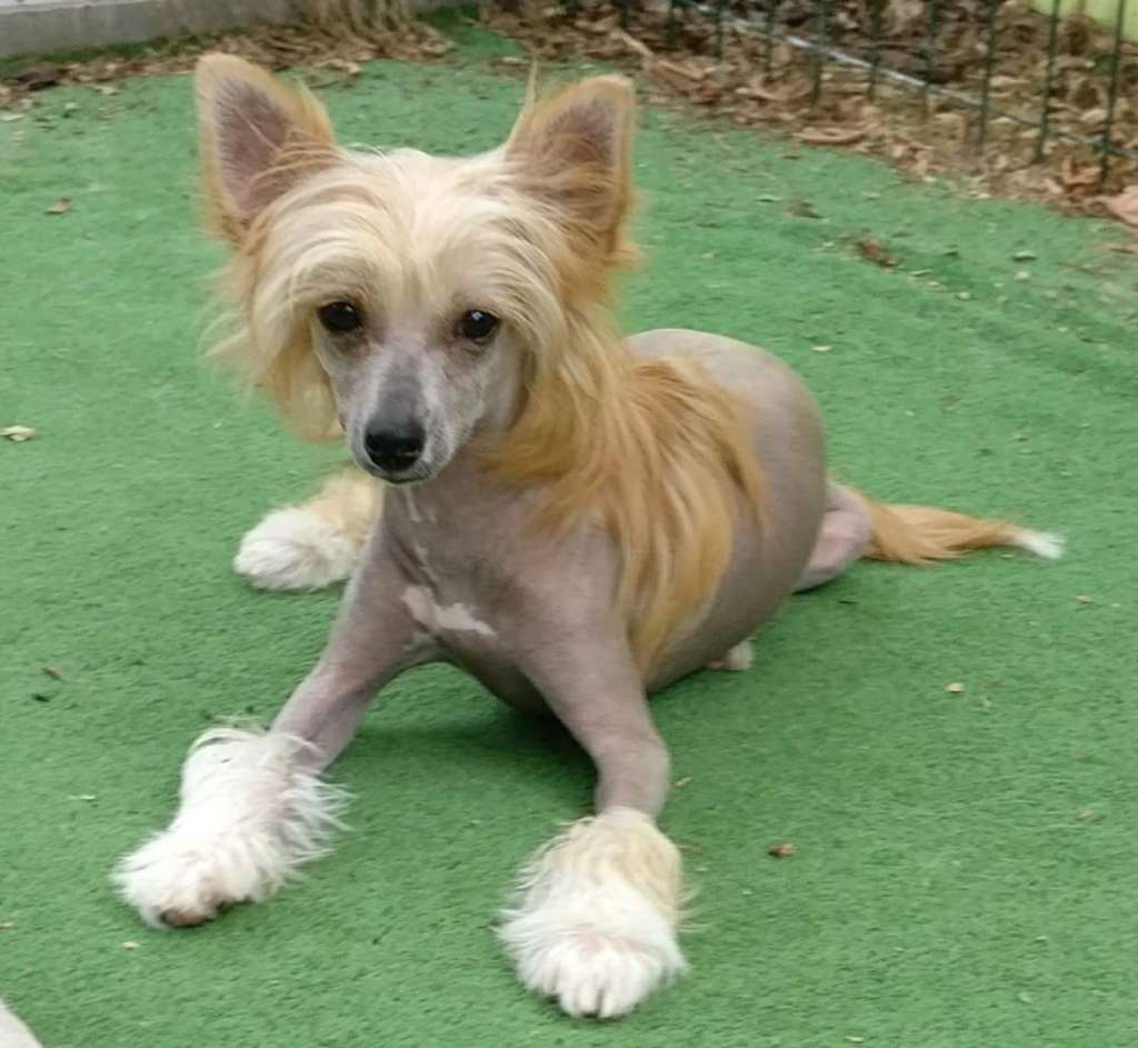 Magnus Staff Roger Federer