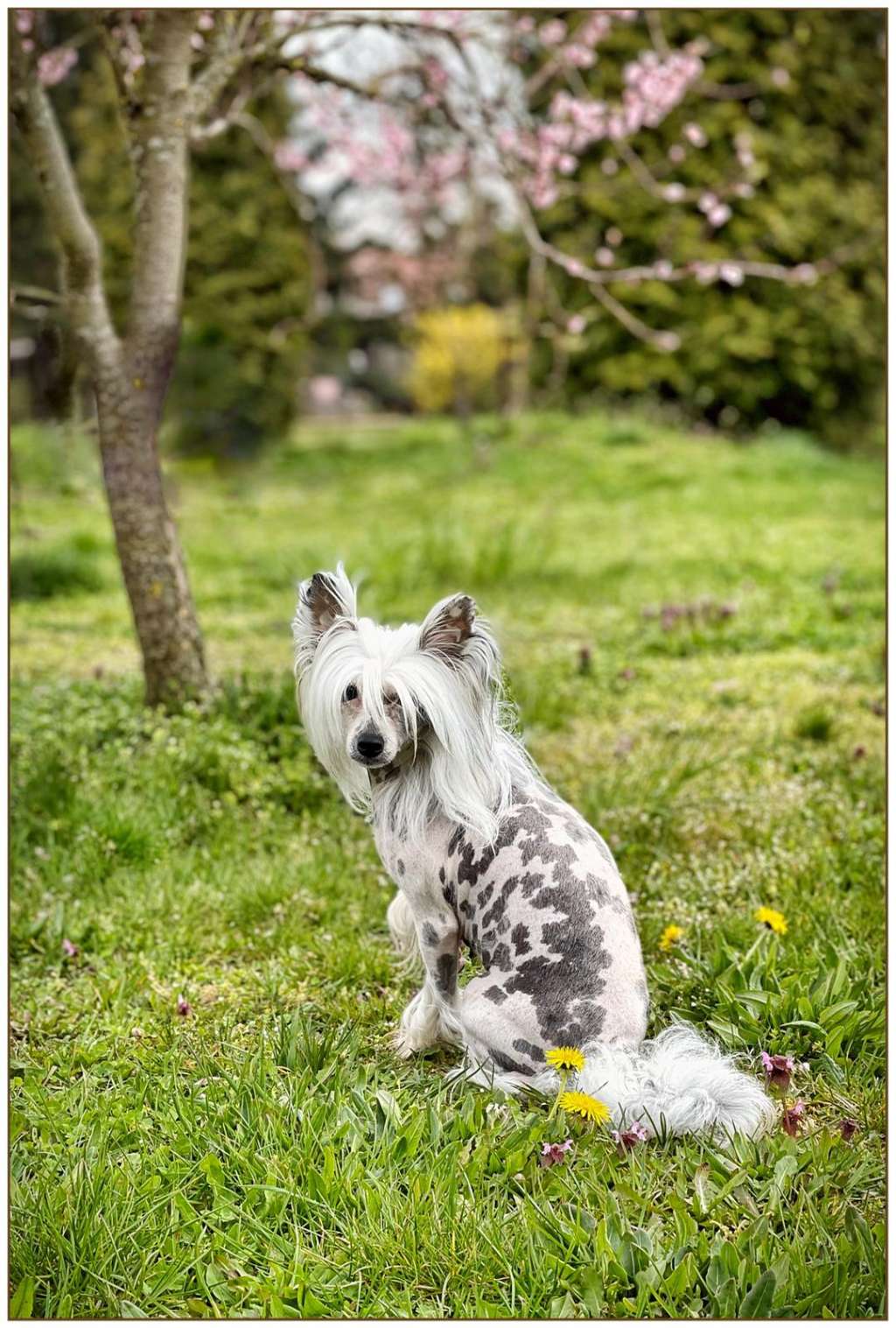 Gerda Kolekcja Szuwarka (PLL/PLL)