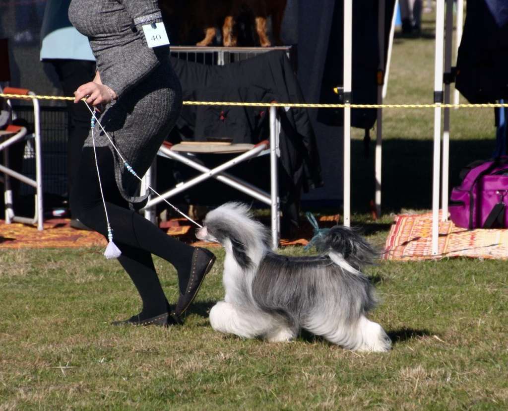 Xioma Set Fire To The Rain