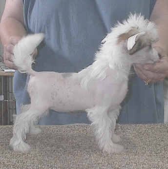 Diva's Pretty In Pink