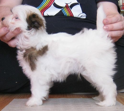 Mauvais Under the Sun