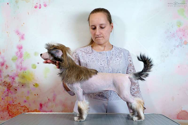 Grand Passage Gabriel