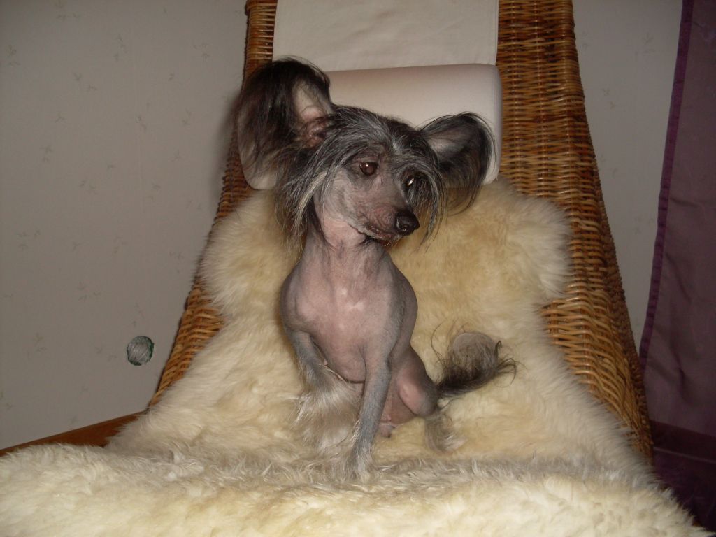 Sun-Hee's Rock Imagine That