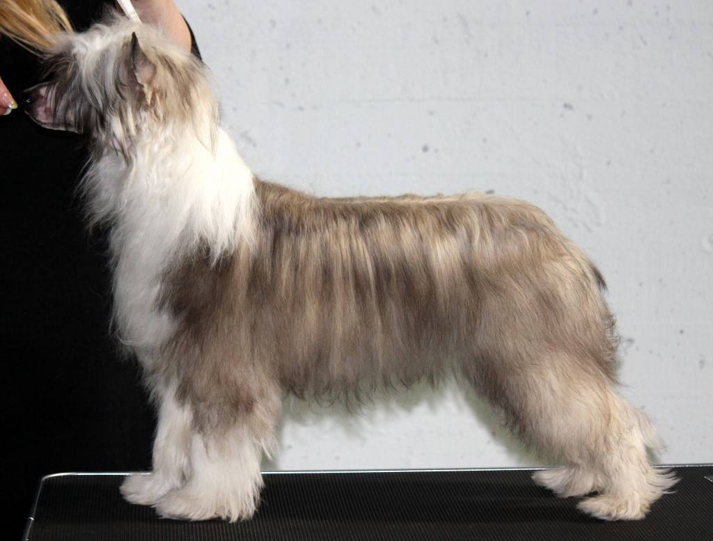 Ridgecrest's Let's Party