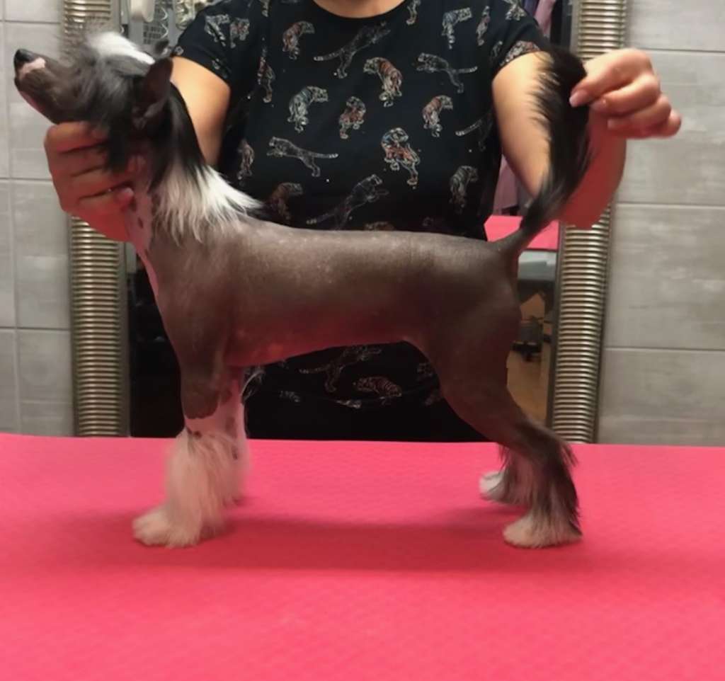 Keep Smiling Always Caramella's Family