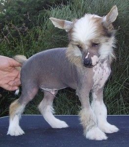 Elias Gudrun Roztocka Hvezda