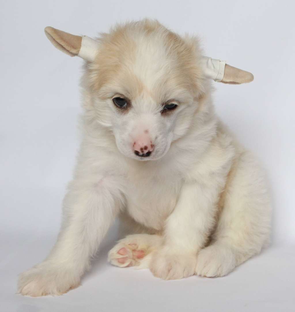 ''''''Natalie"s beauty