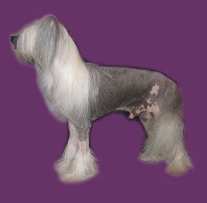 Rujha's Diamond Cutter