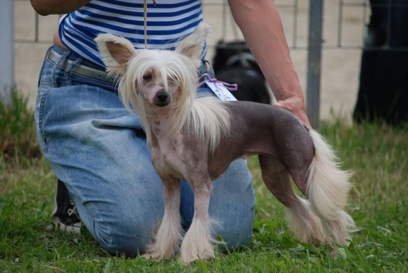 Walking on Sunshine de GabriTho