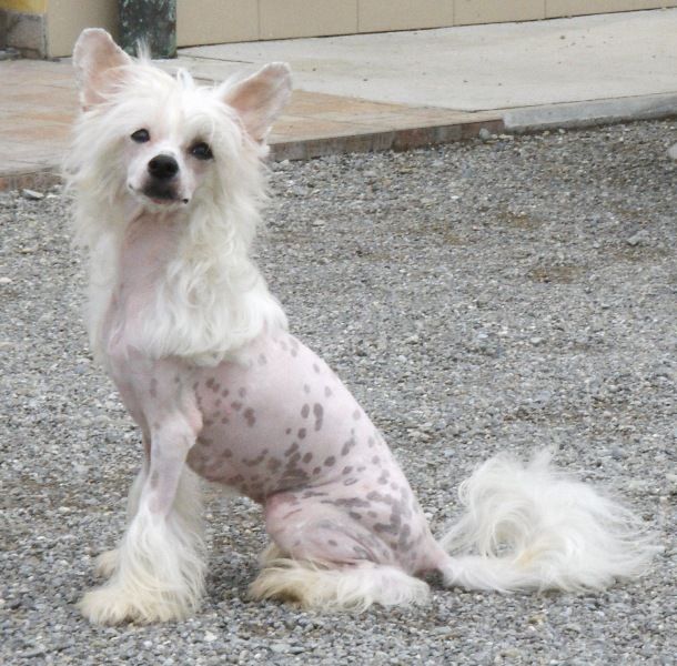 Twice as Nice Right Here Right Now