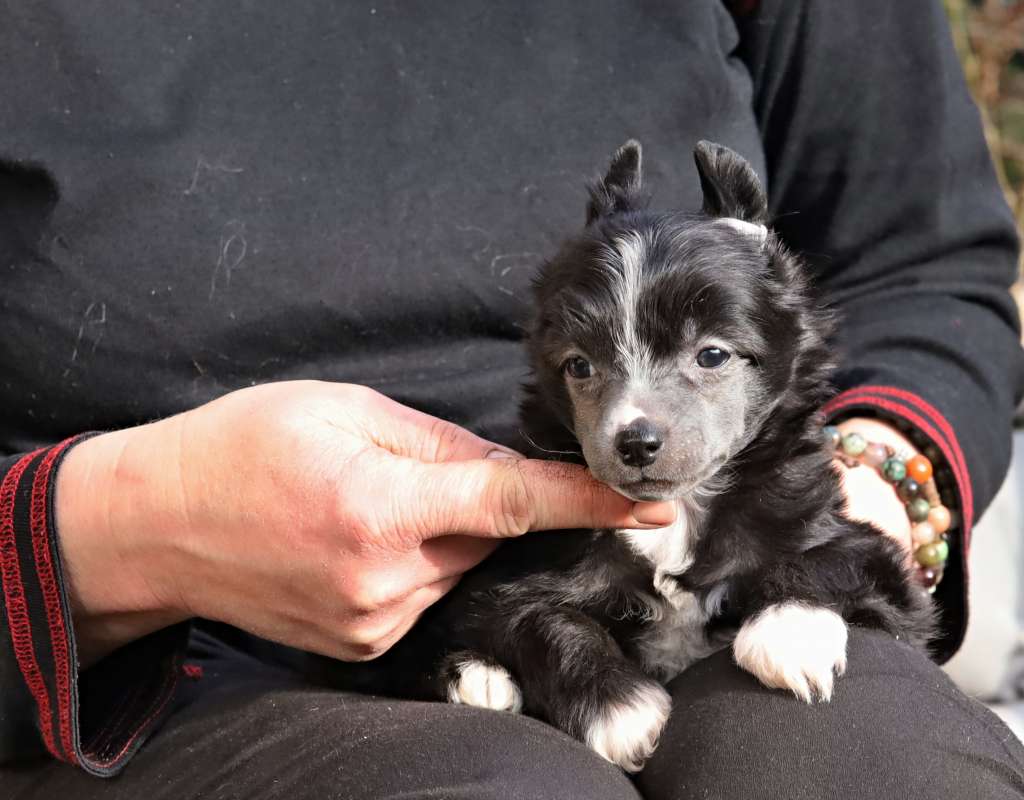 Reggi Queen Malverne