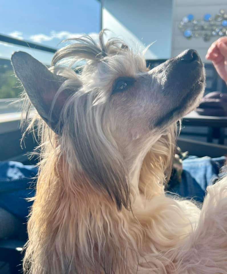 Absolute Souls Glow stick party