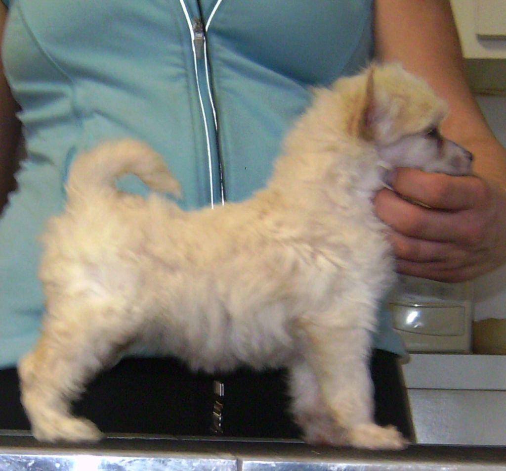 Kalan's Kiss Me Kate