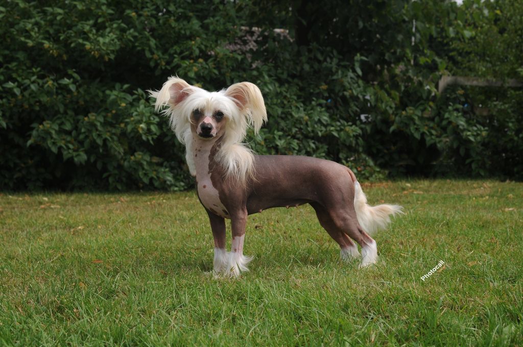 Habiba Do You Know Who I Am