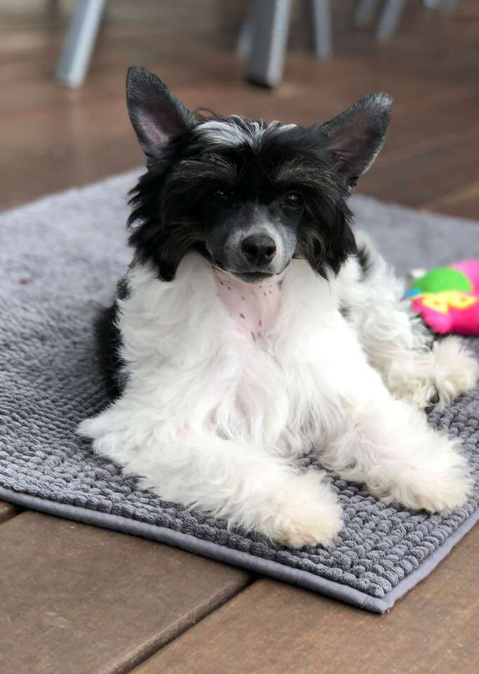 INFINITY Caramella's Family