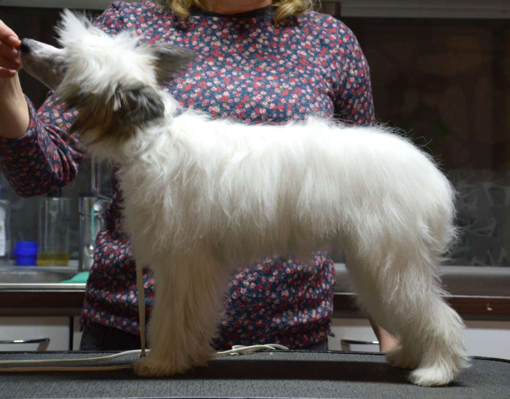 Kaitlin Kardashian Prince