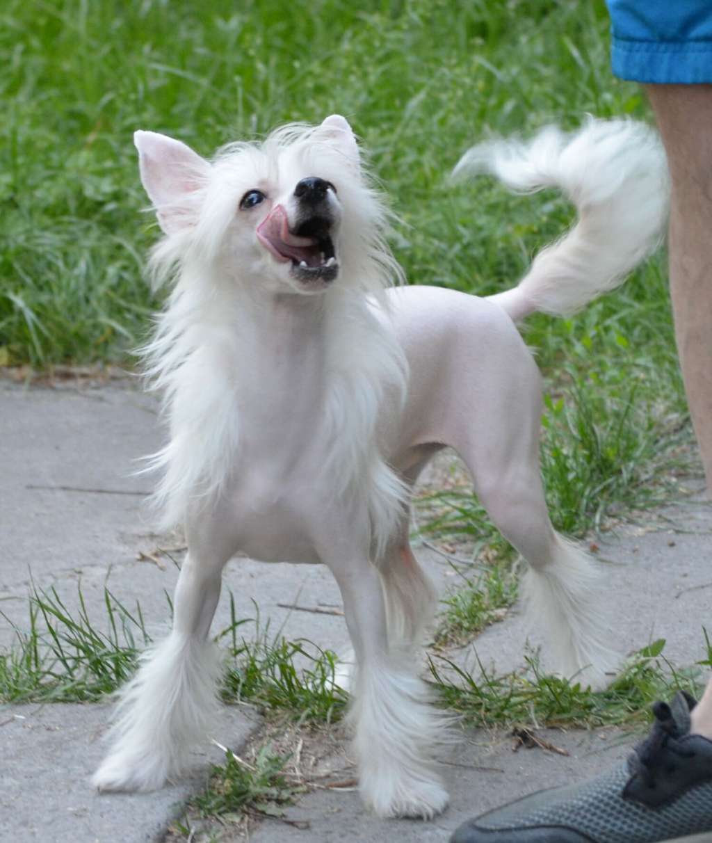 Magic of Success Florina