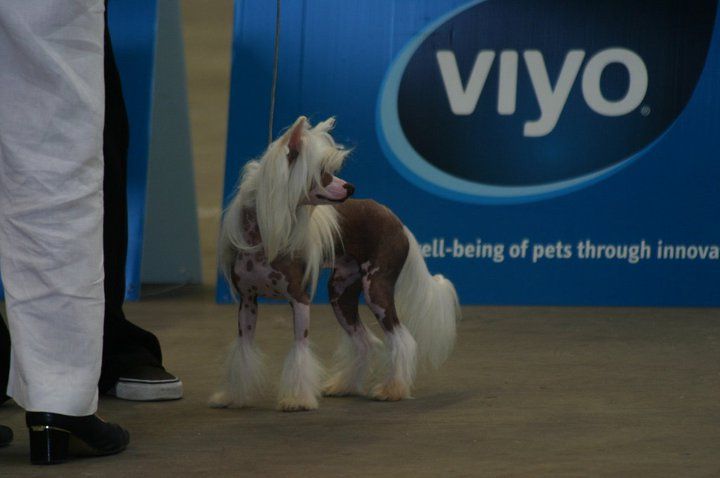 International Dream Diamond Place