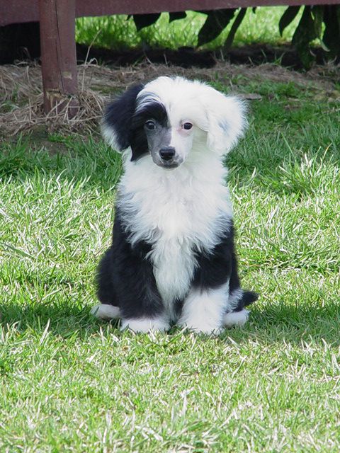 Fantasy For Mady's Love