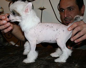 Moon Harbour Day Dream