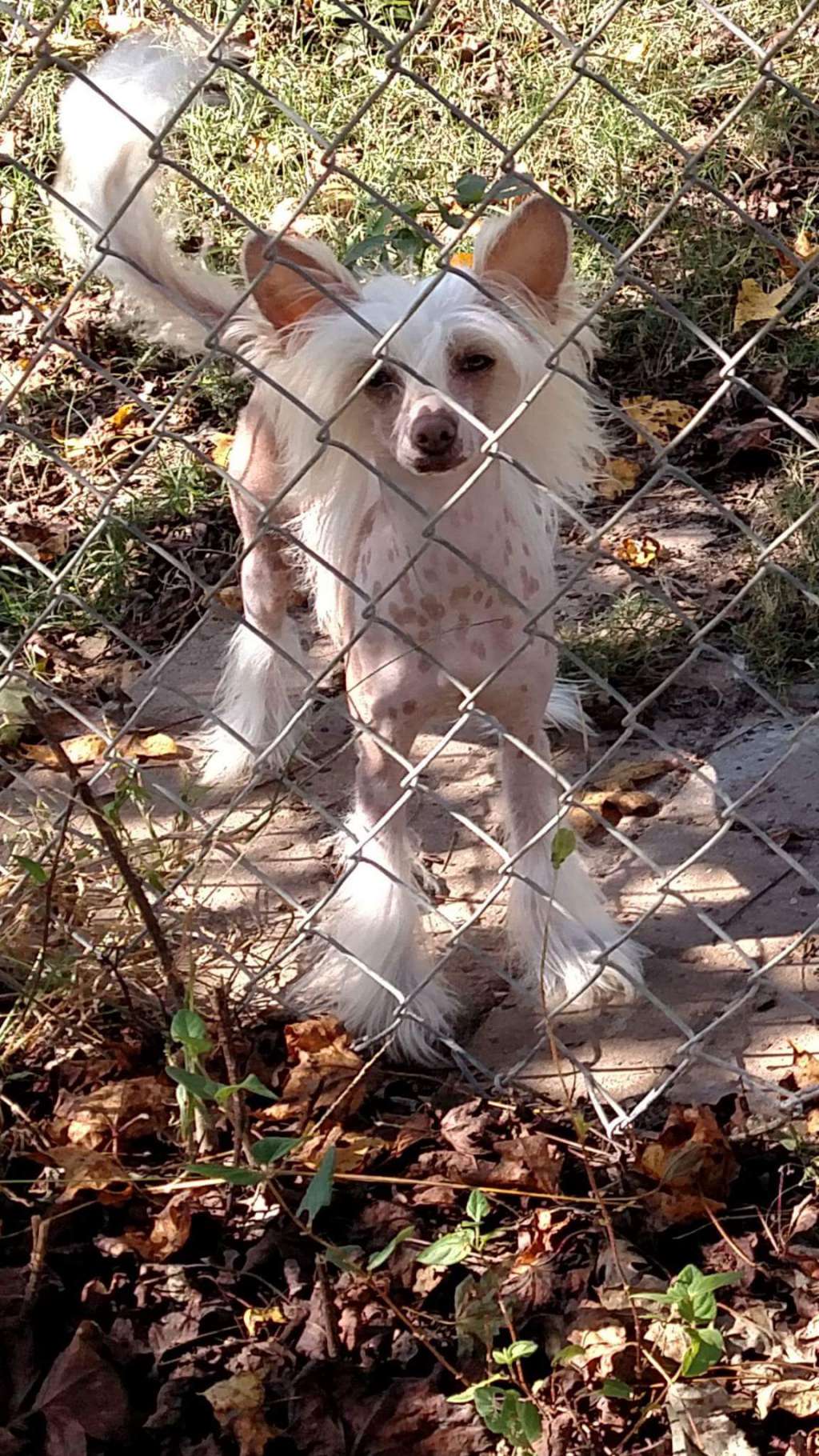 Rock Star's Some Days are Diamonds