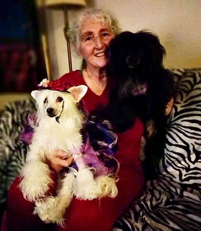 Crest-Vue's Gonna Be A Star Someday