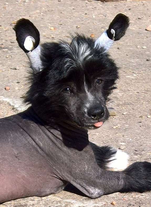 Jekadi's D'accord Avec Moi