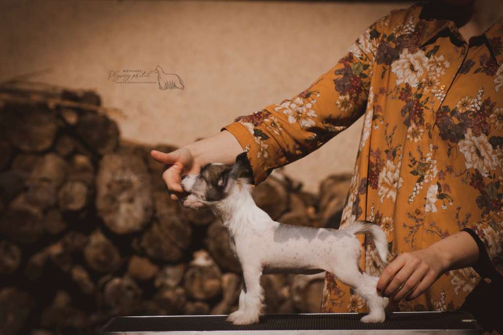 Look! Trouble Bubble Plysovy pritel