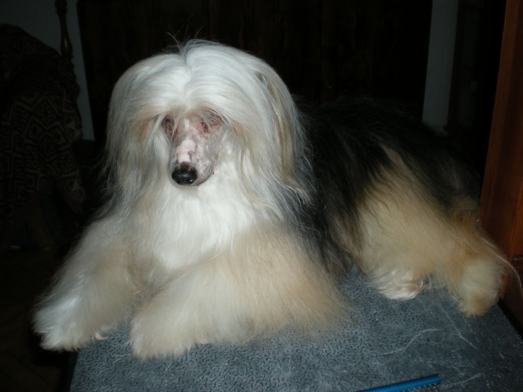 Sasquehanna Posejdon