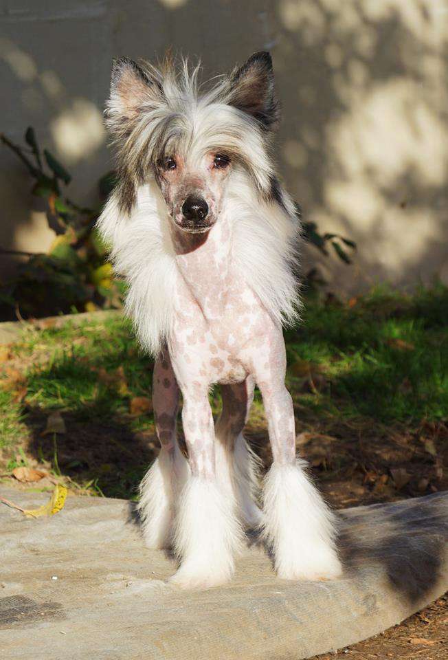 Fatal Attraction Heybett