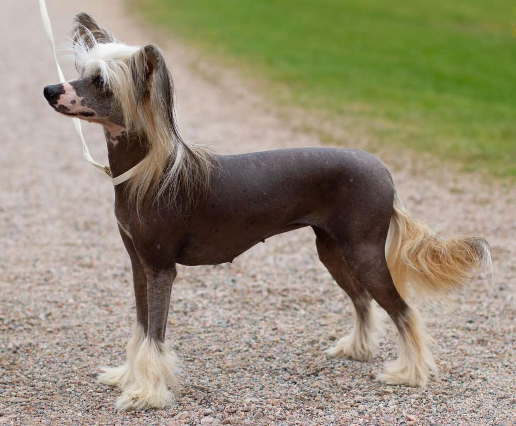 Prefix Bikini Fashion