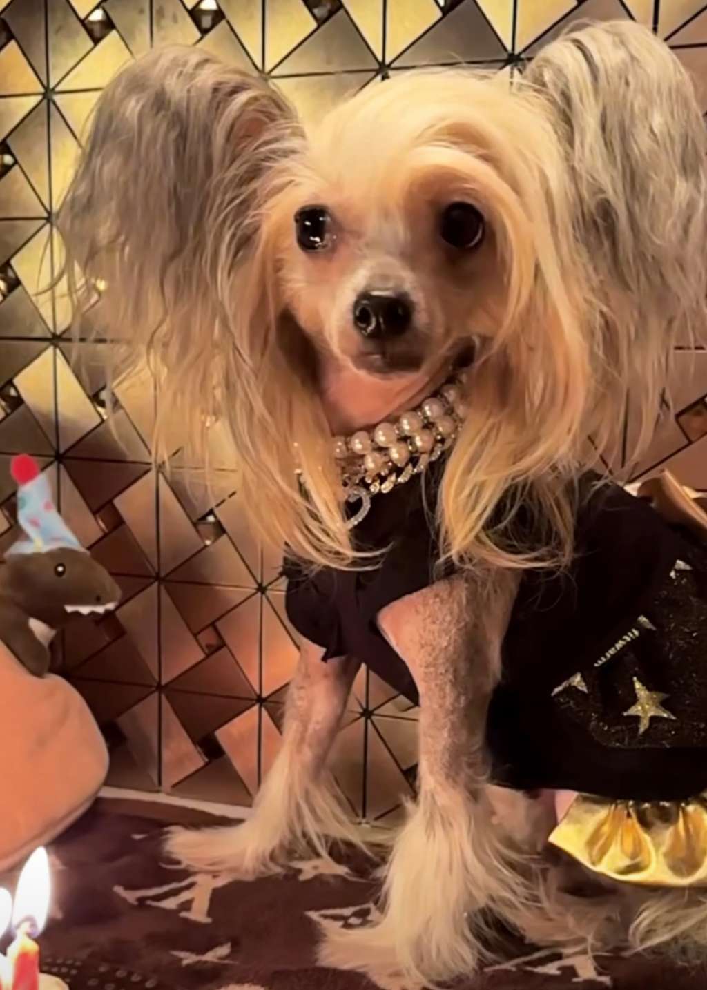 Tournais Put On Your Red Shoes