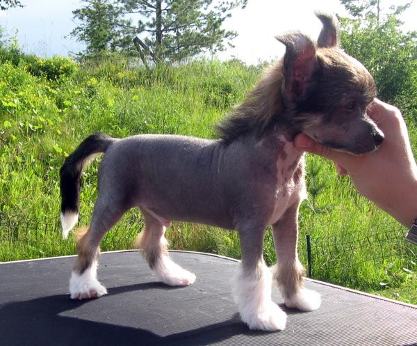 Kuminaaman Island Breeze