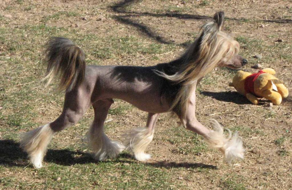 Nava's Dark Secret At Crest-Vue