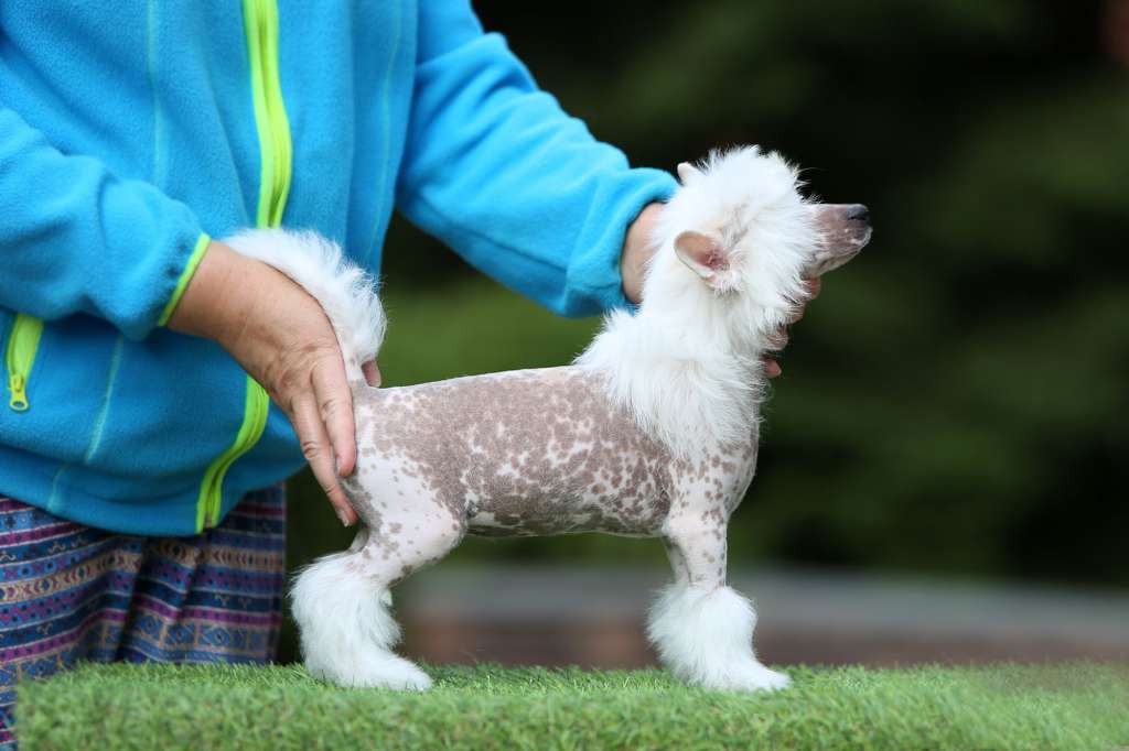 Incanto Del Mondo Glossy Kisses