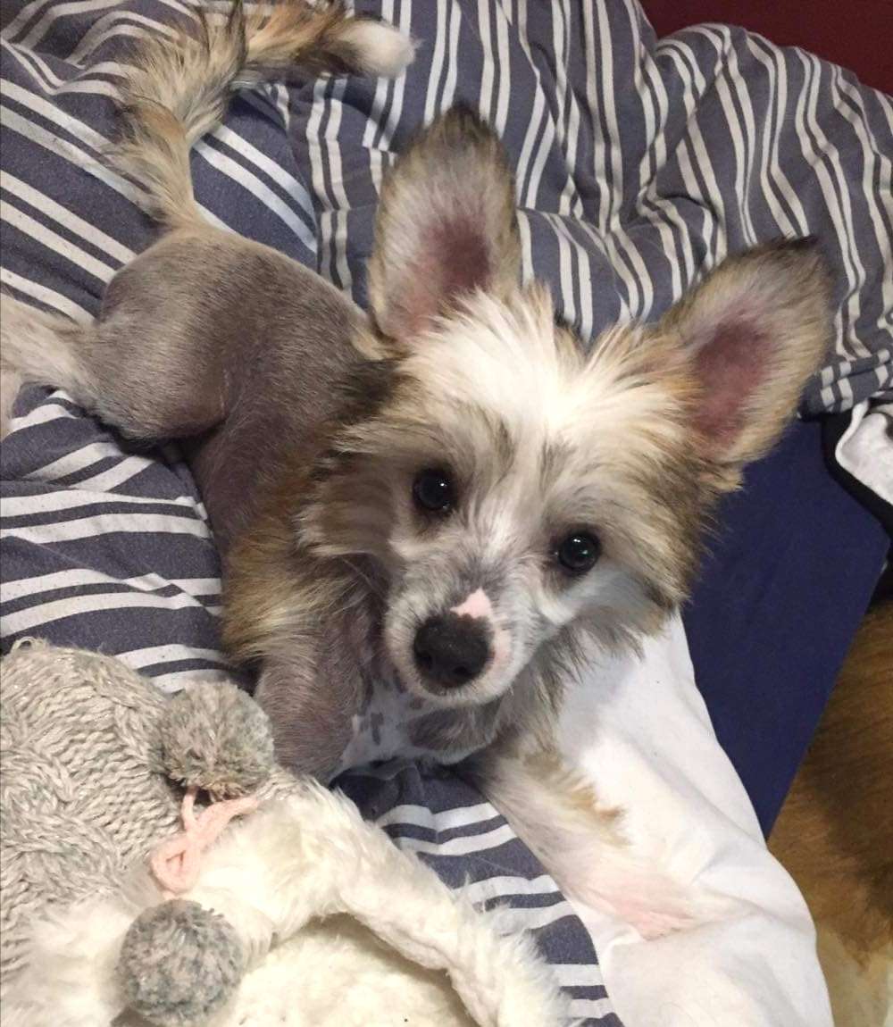 So-soft Rise & Shine