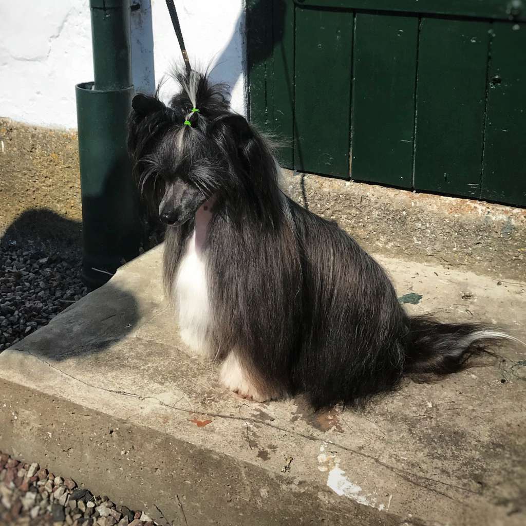 EXxiino's Beyond The Horizon