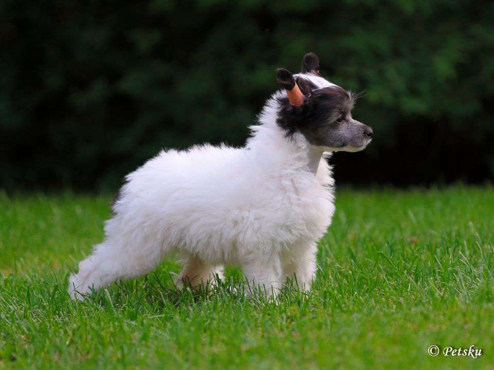 Zodellin Heal The World