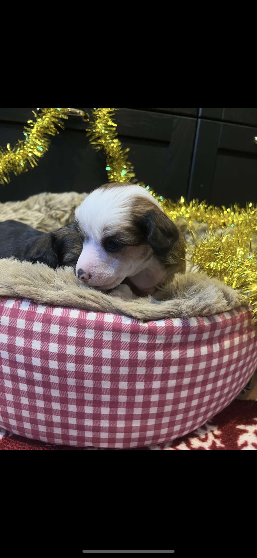 Something?s Been Making Me Blue