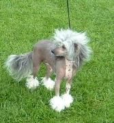 Lucky Line's All Alone