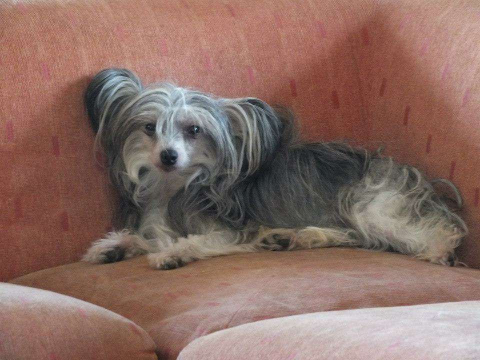 Hampton Court's Joie de Vivre at Legend