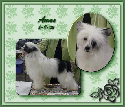 Woodlyn Polka Fest At Oolagha